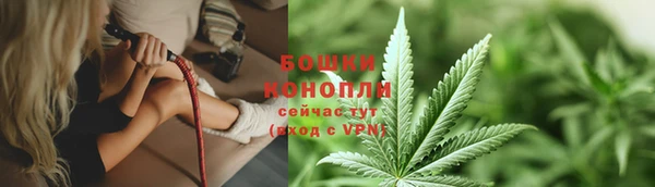 каннабис Белокуриха